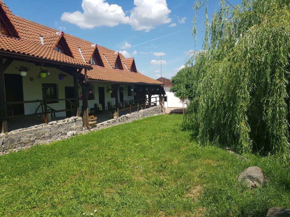 Vila Sura Razoare Sighisoara Bagian luar foto