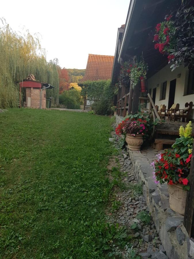 Vila Sura Razoare Sighisoara Bagian luar foto