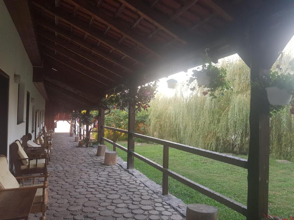 Vila Sura Razoare Sighisoara Bagian luar foto