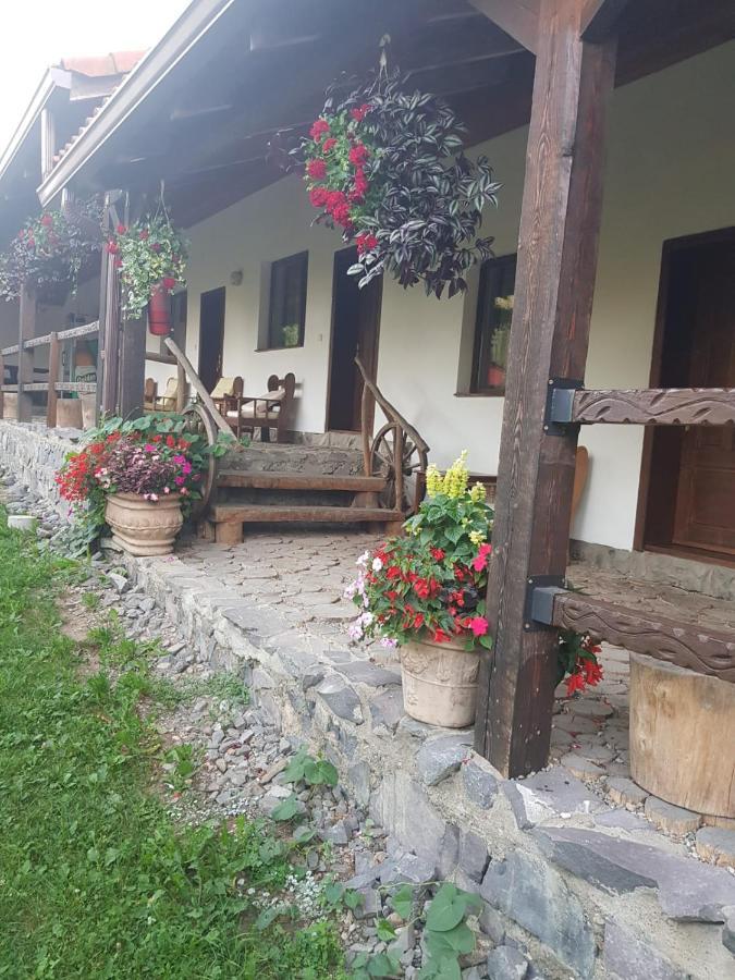 Vila Sura Razoare Sighisoara Bagian luar foto