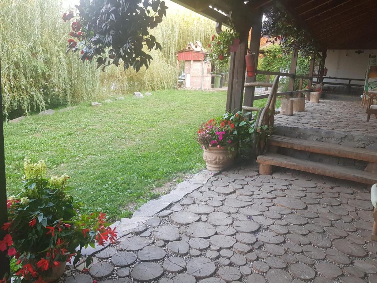 Vila Sura Razoare Sighisoara Bagian luar foto